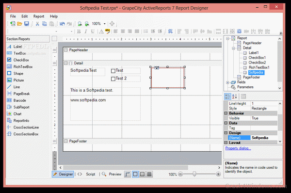 activereports 7 detail