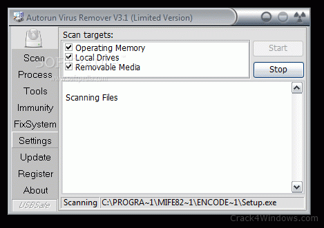 autorun virus remover v3.3 key