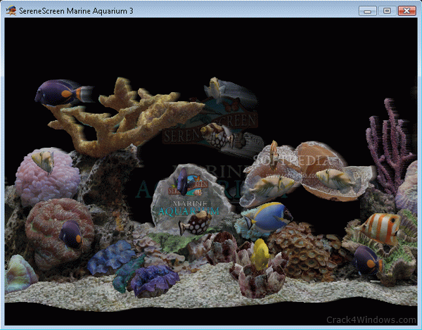 keycode serenescreen marine aquarium 3